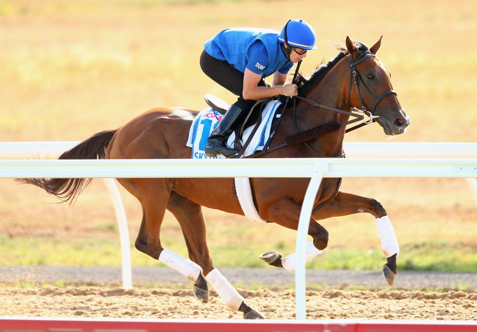 Sky Hunter suffered a late fitness scare before his run in last year's Melbourne Cup