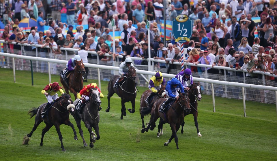  Best Of Days (blue) has the St Leger as an option for later in the season