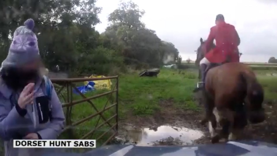 hunt-protester-nid-warren-seriously-injured-after-being-trampled-by-horse-00_00_12_23-still007-1