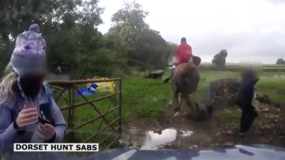 hunt-protester-nid-warren-seriously-injured-after-being-trampled-by-horse-00_00_13_09-still009