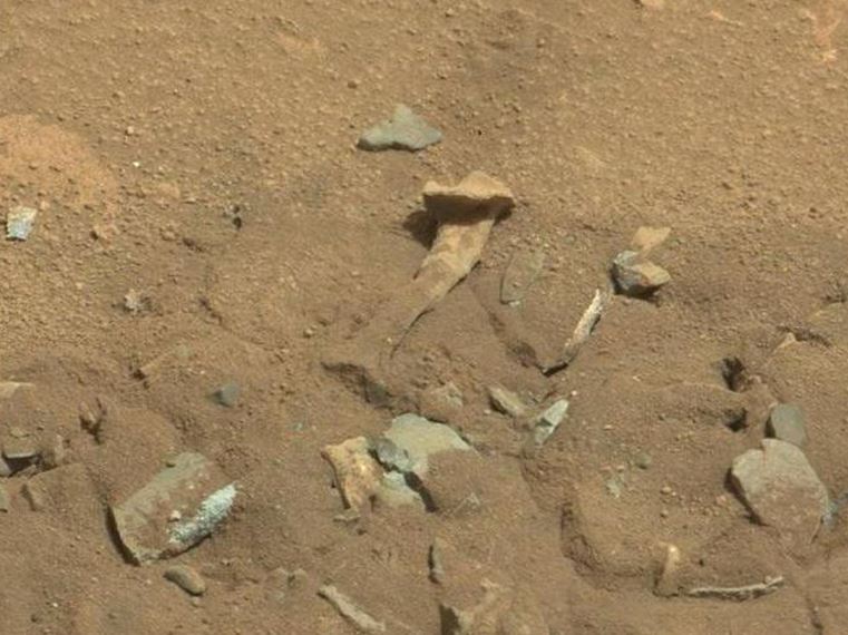 No bones about it... this definitely isn't a bone on Mars