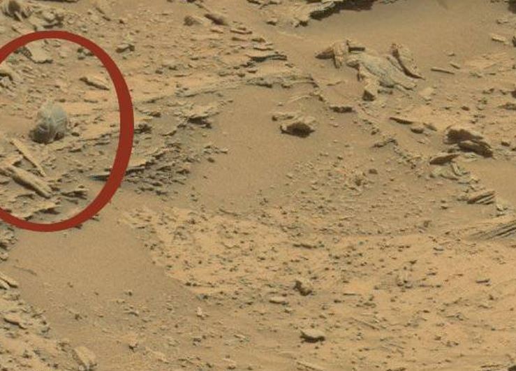 Could this hefty 'skull' be proof that giant hairy aliens once walked on the surface of Mars?