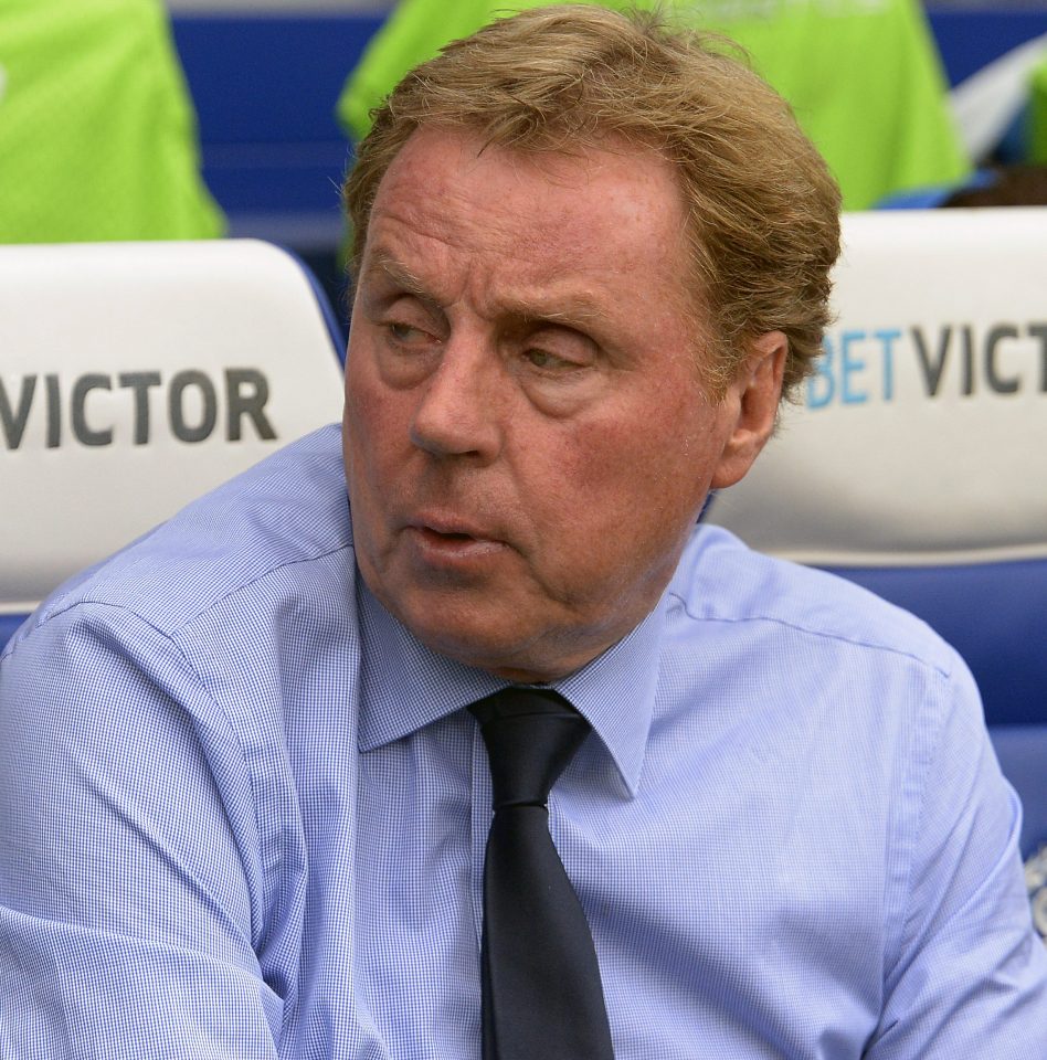 Harry Redknapp has been filmed meeting undercover reporters