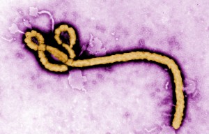 What is the Ebola virus and where is the latest outbreak?