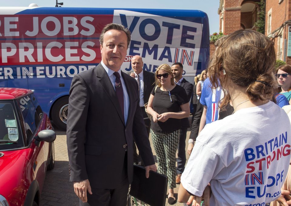 Gove's wife Sarah Vine also assured the referendum wouldn't come between the friends - but Cameron was quickly left to back Remain alone