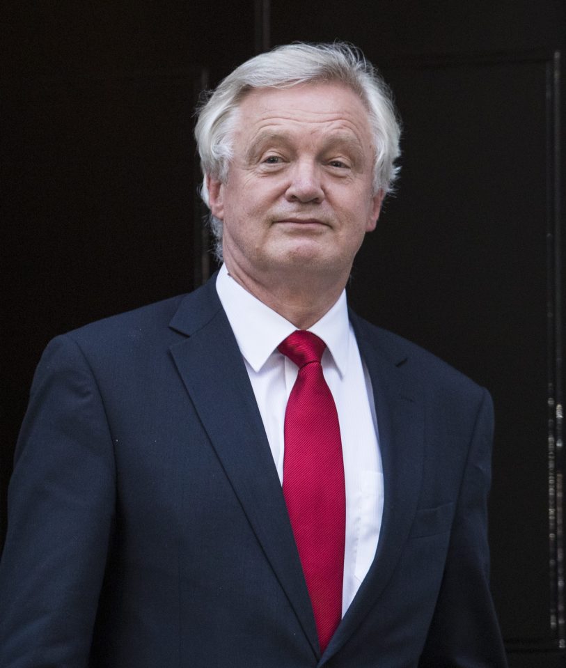Brexit ... even referendum supremo is facing an uncertain future