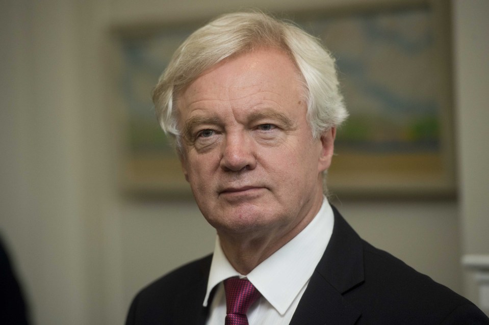 Brexit Secretary David Davis said he would be willing to risk membership of the single market to bring down immigration