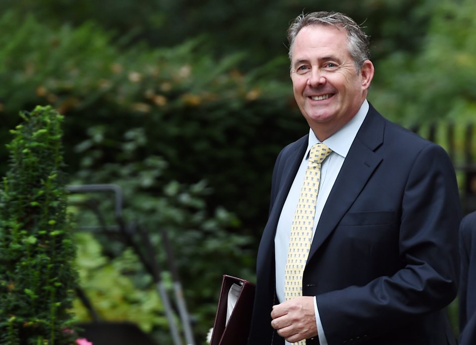 Liam Fox