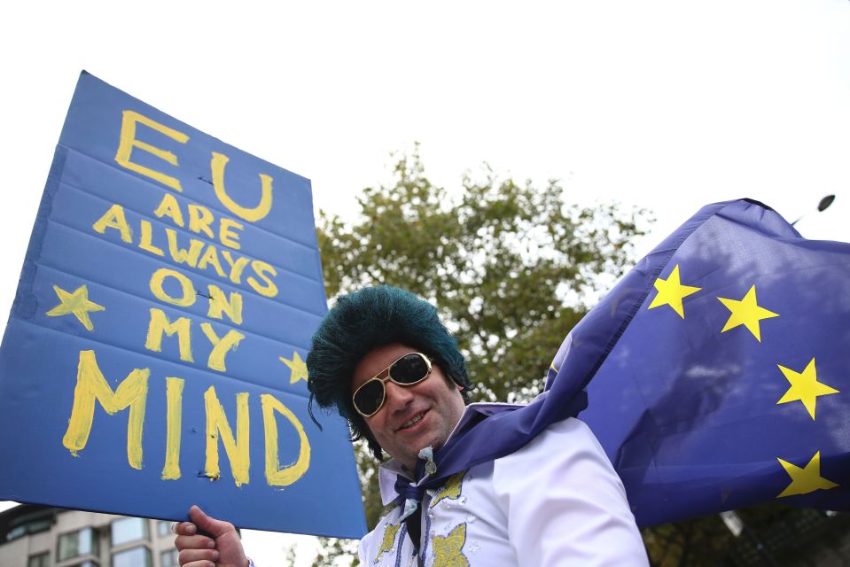 Farron said that as a Europhile he felt personally aggrieved by the referendum result