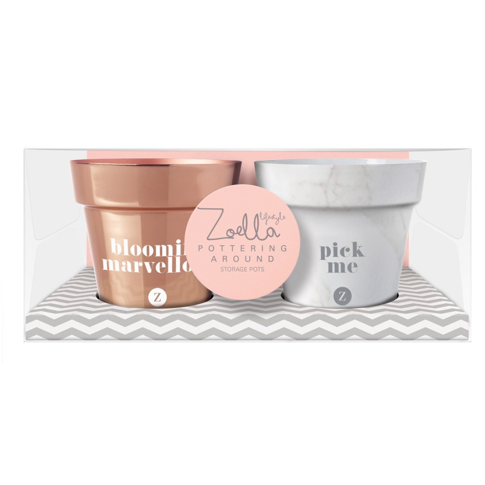 Decorative storage pots, £14
