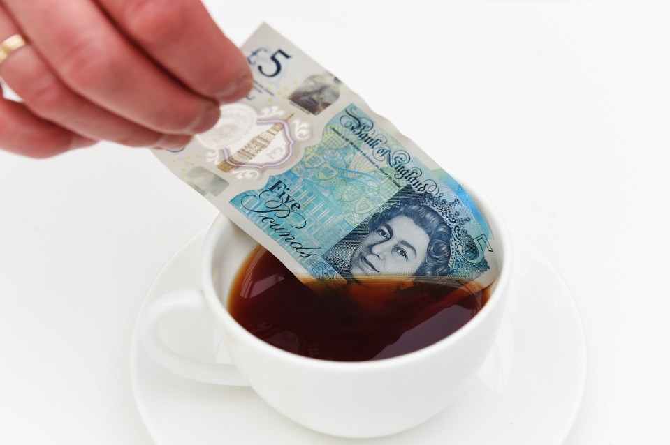 Mark Carney Unveils New Polymer Five Pound Note