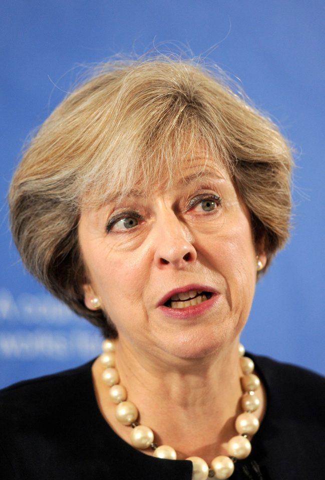 Election favourite ... grammar schools a big vote winner for Mrs May among the minorities