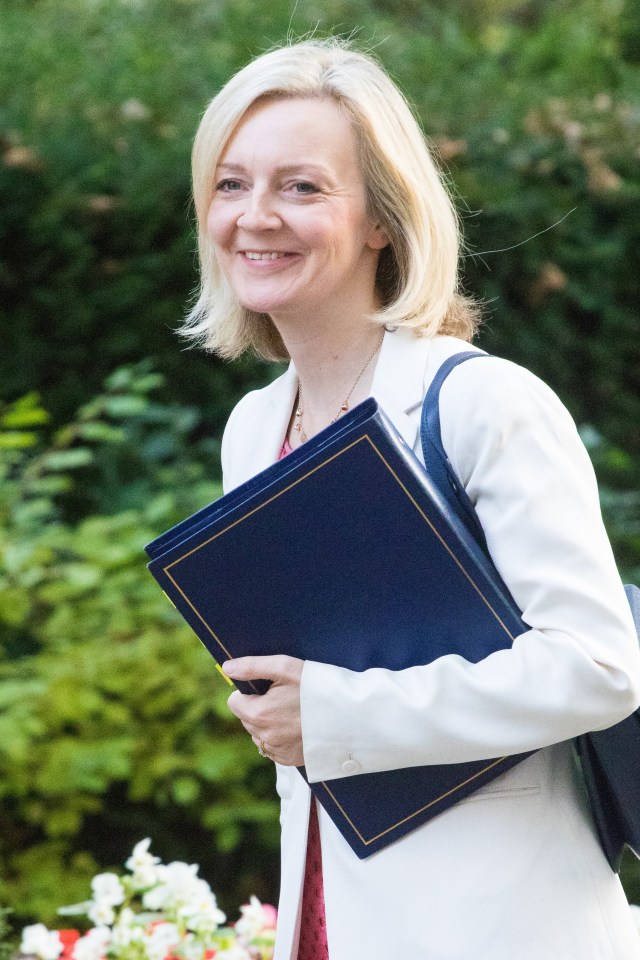 Liz must follow Gove's head