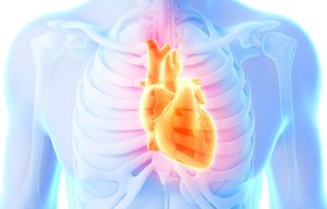 City planning to encourage cycling and walking "reduces early death from heart disease"