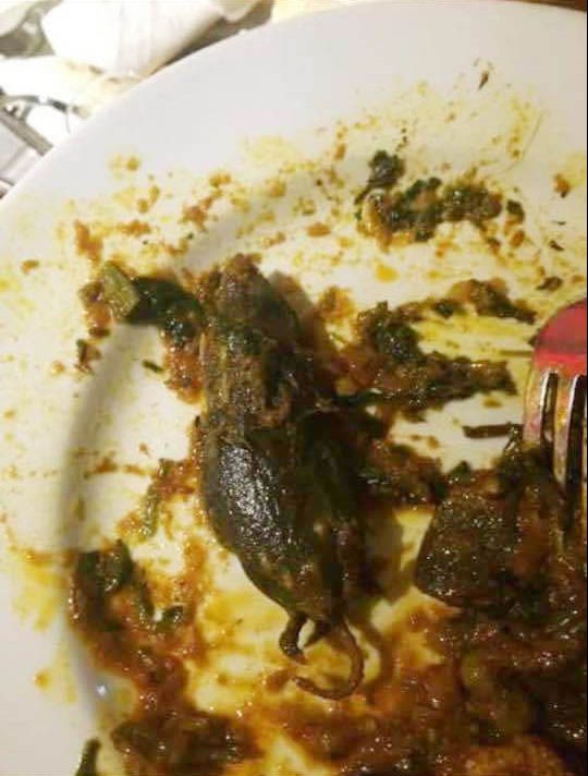Dead mouse in curry