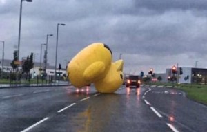 Giant inflatable duck brings traffic to a standstill as it rolls across a Glasgow road