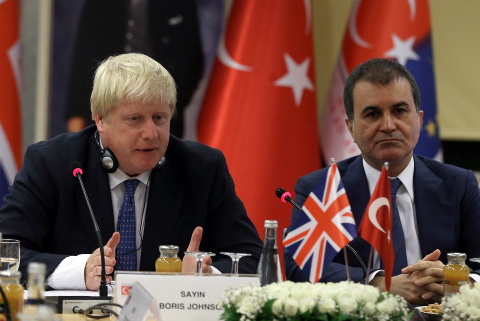 He praised his Tuekish-made washing machine as he met their EU Minister Omer Celik
