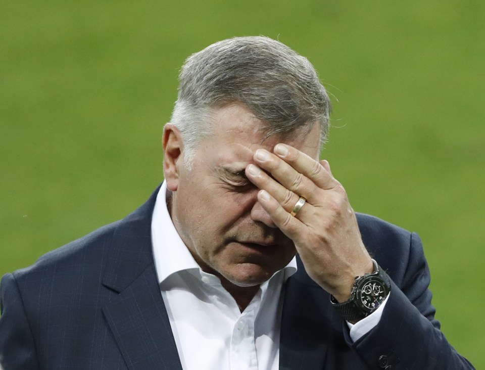 Allardyce was targeted by undercover reporters talking about third party owned players