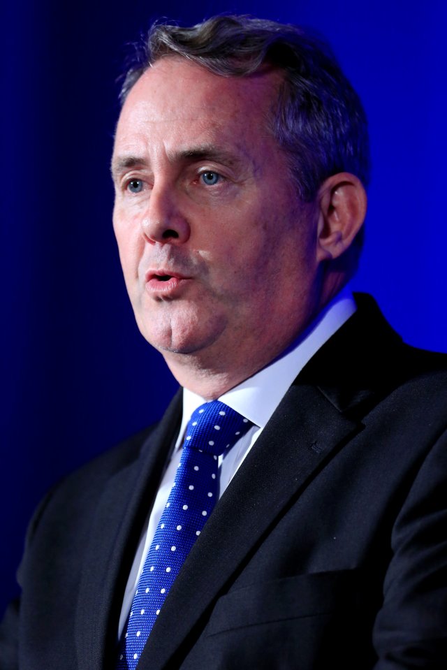 Britain's International Trade Secretary Liam Fox speaks during the WTO annual Public Forum in Geneva