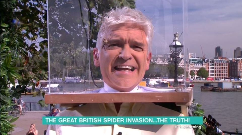 Phil had no fear when he stuck his head inside the spider box