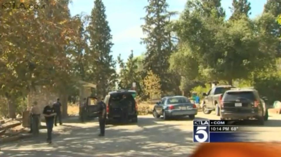 bear-attack-ktla-5