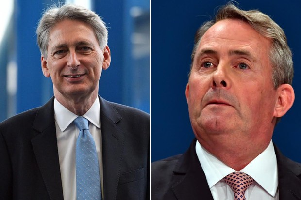 Philip Hammond and Liam Fox
