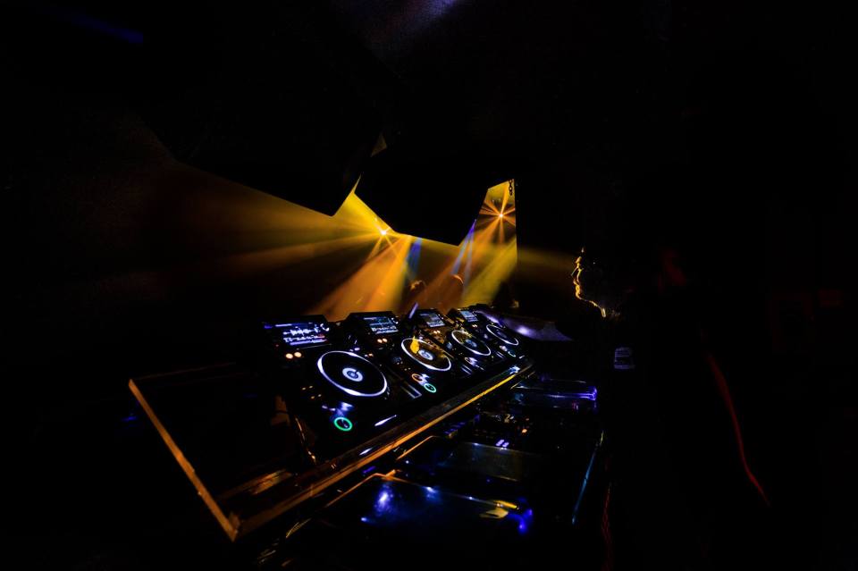 fabric_sarahginn3