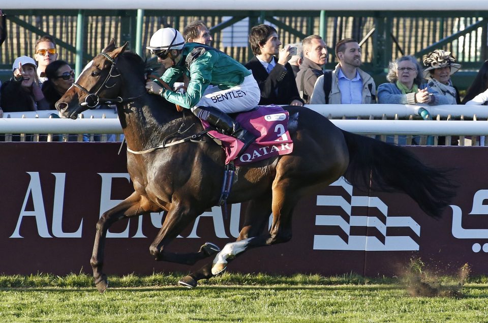  Limato is set to head back to France