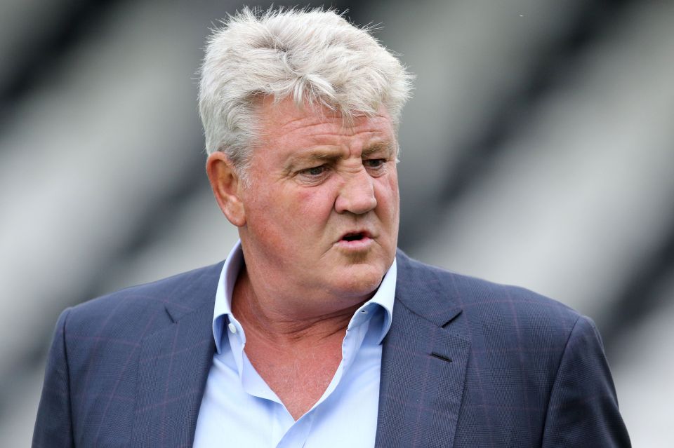 Steve Bruce is one of the managers on the Aston Villa shortlist to succeed Roberto Di Matteo