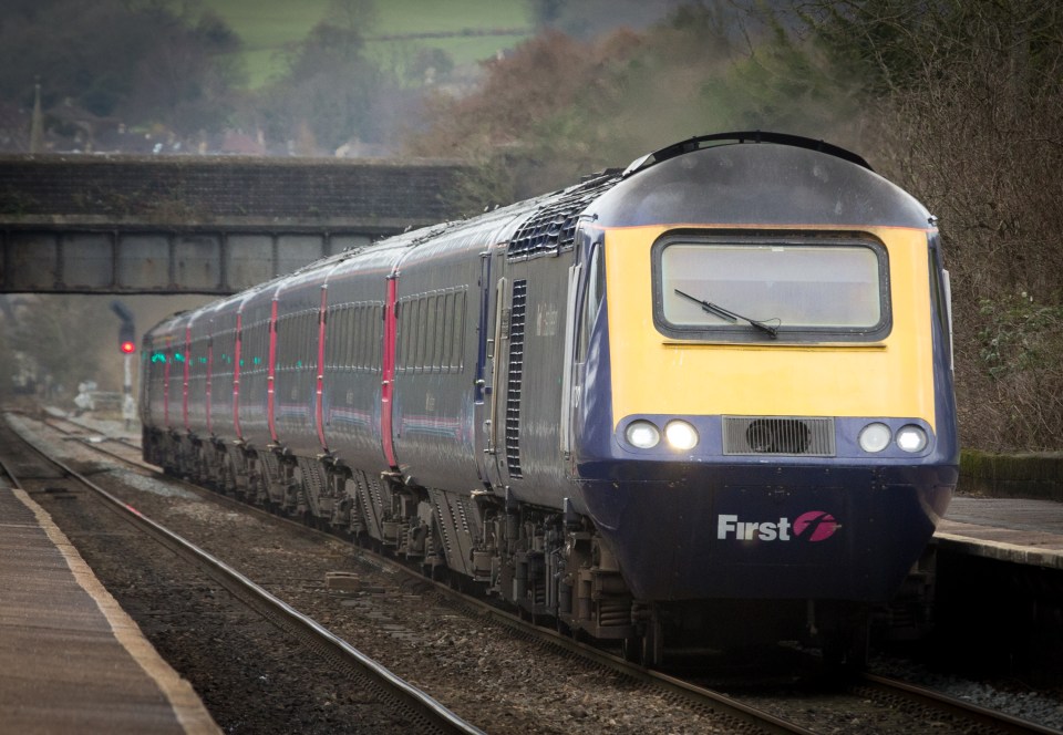 End of the lines ... the Trigger Happy TV prankstar was marched off the Great Western service and searched for drugs