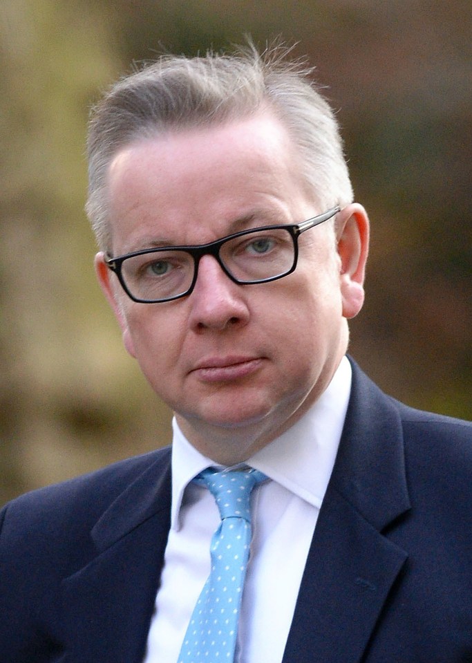 According to Boris, neither he nor Gove wanted Cameron to go after the referendum result