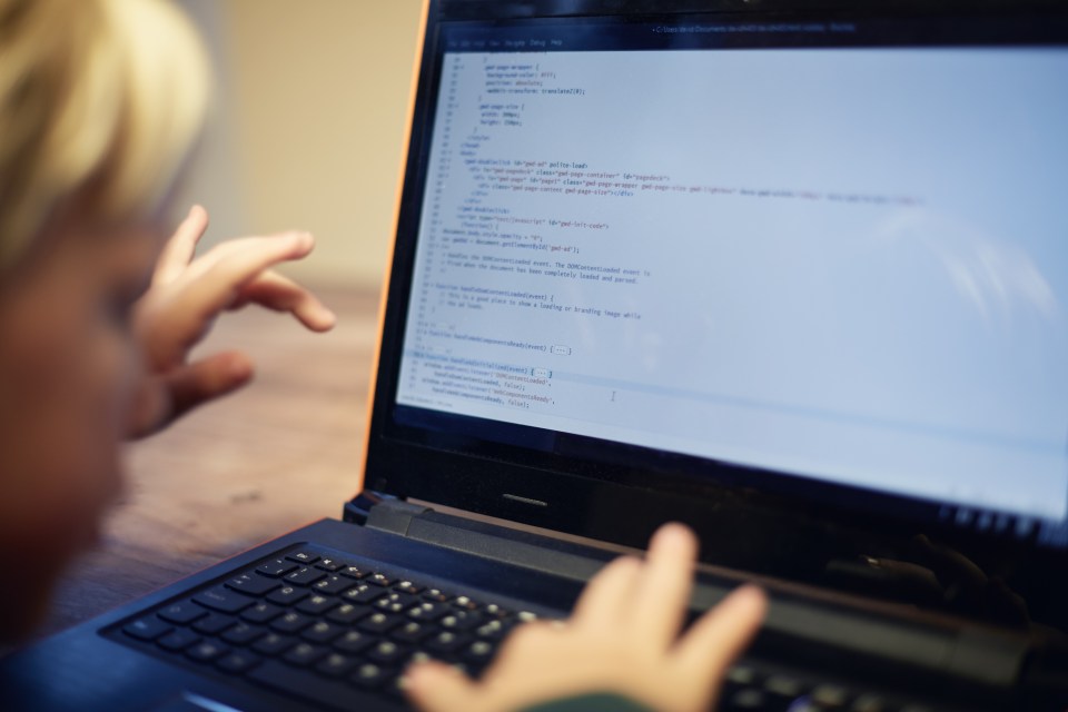 MPs call for Government to provide cheap broadband