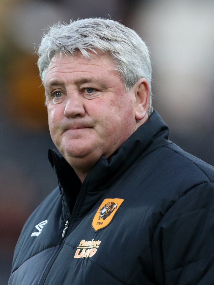 Ex-Hull man Steve Bruce could be set to take over the reins at Aston Villa