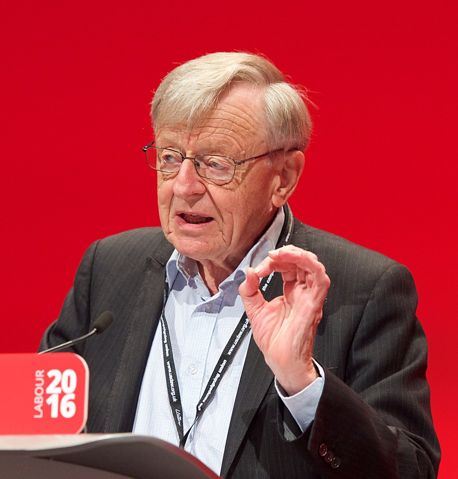 Labour peer Alf Dubs must be appalled at the sight of hairy-armed men hijacking his campaign to save kids from Jungle