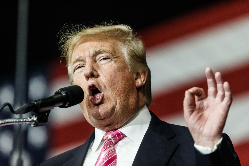 Republican candidate Donald J Trump has stunned America with his success in the campaign so far
