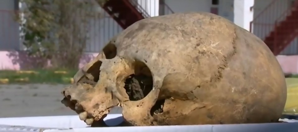 The skeletons are believed to be from Scythian royalty