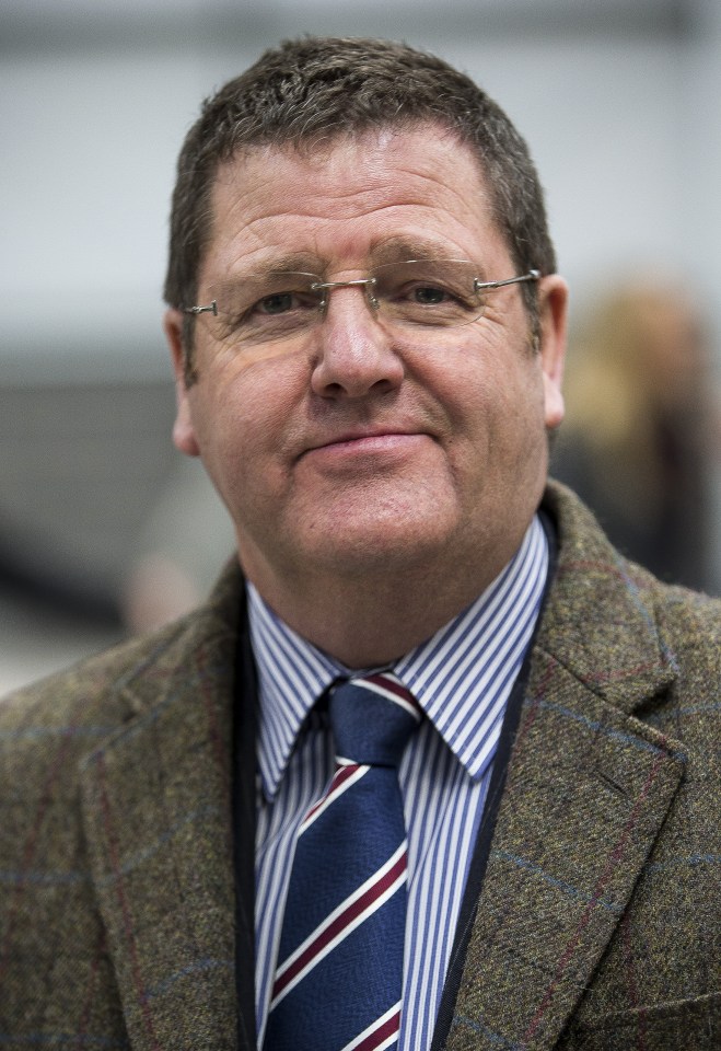 Reports have suggested Mr Woolfe was confronted by fellow Ukip MEP Mike Hookem