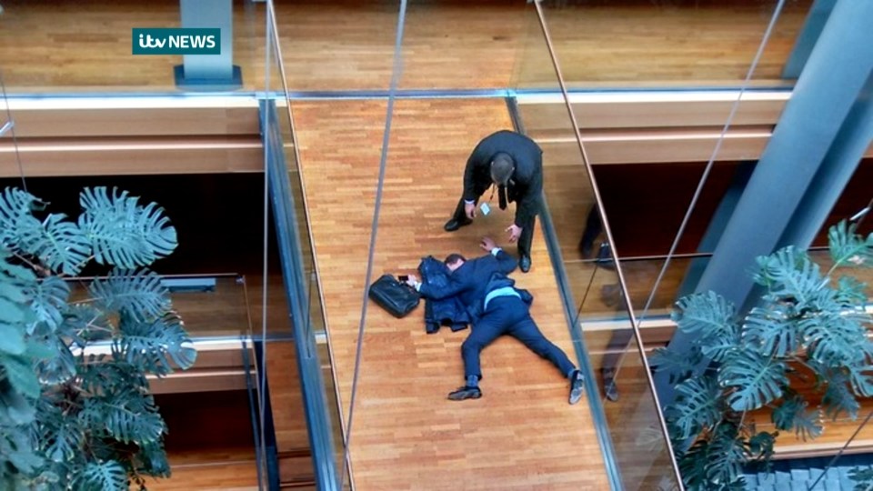 Steven Woolfe collapsed in the European Parlieament