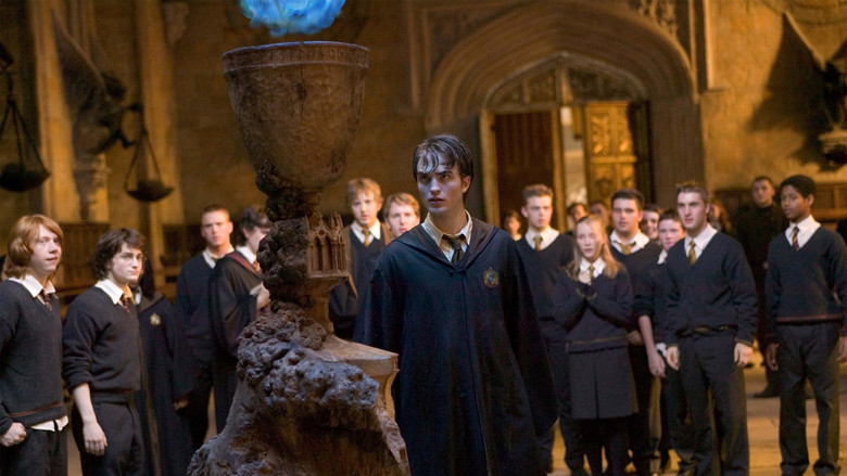 All that Triwizard effort seems a little bit pointless