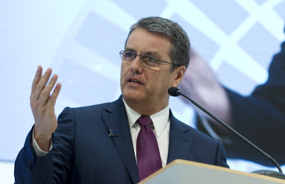 World trade Organisation boss Roberto Azevedo also vowed today to make Brexit 'fast and smooth'
