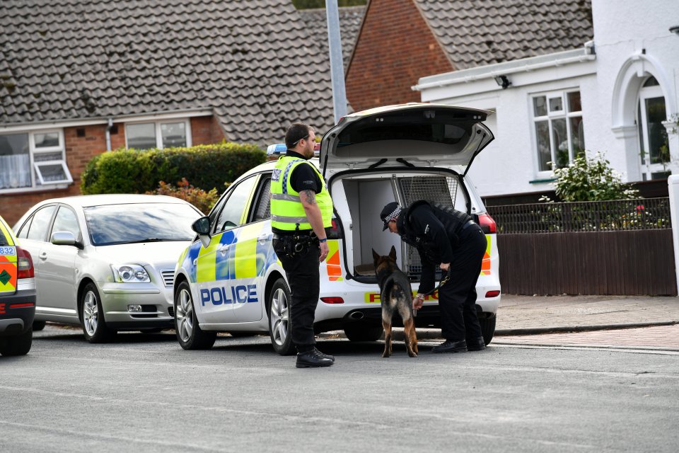 A police dog unit was at the scene, along with five police armed response teams