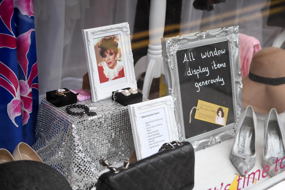 Joan Collins donates clothes to Shooting Star Chase charity shop