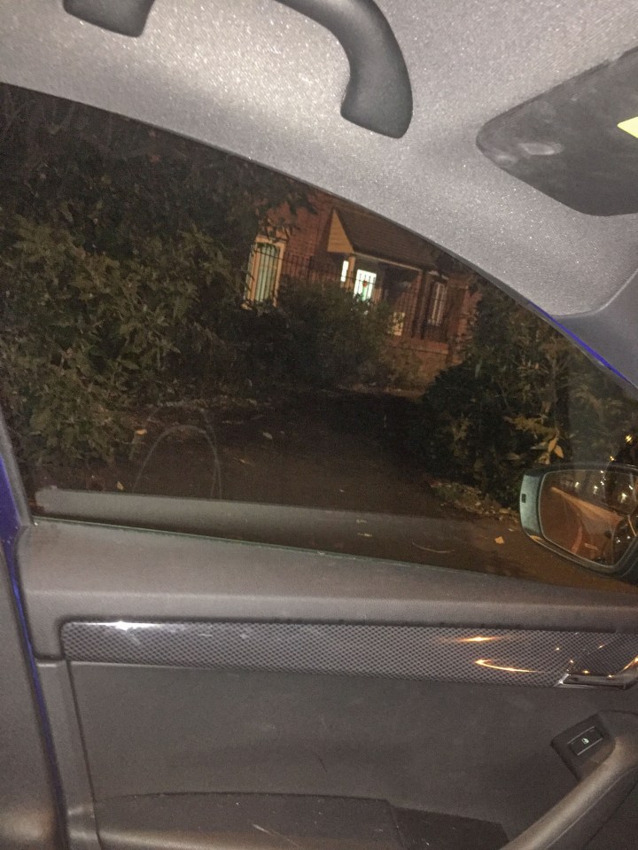 The bushes where the two people dressed as clowns were said to have emerged from