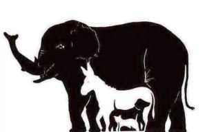 How many animals can YOU see in this optical illusion? It takes a keen eye to spot them all