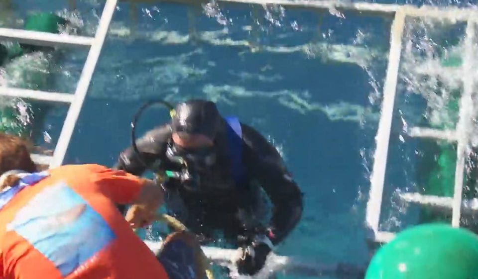 After the beast escapes, the diver to emerges shaken from the incident