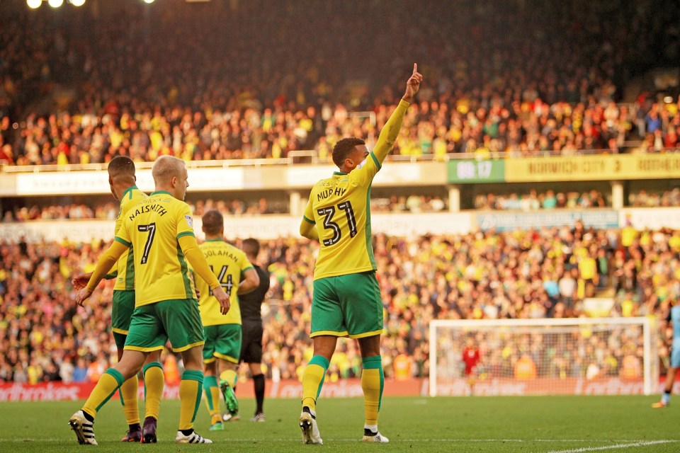 Steven Naismith celebrates scoring Norwich's third