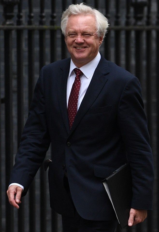 Friends of Mr Davis insisted his meeting with the UKIP politician was 'brief'