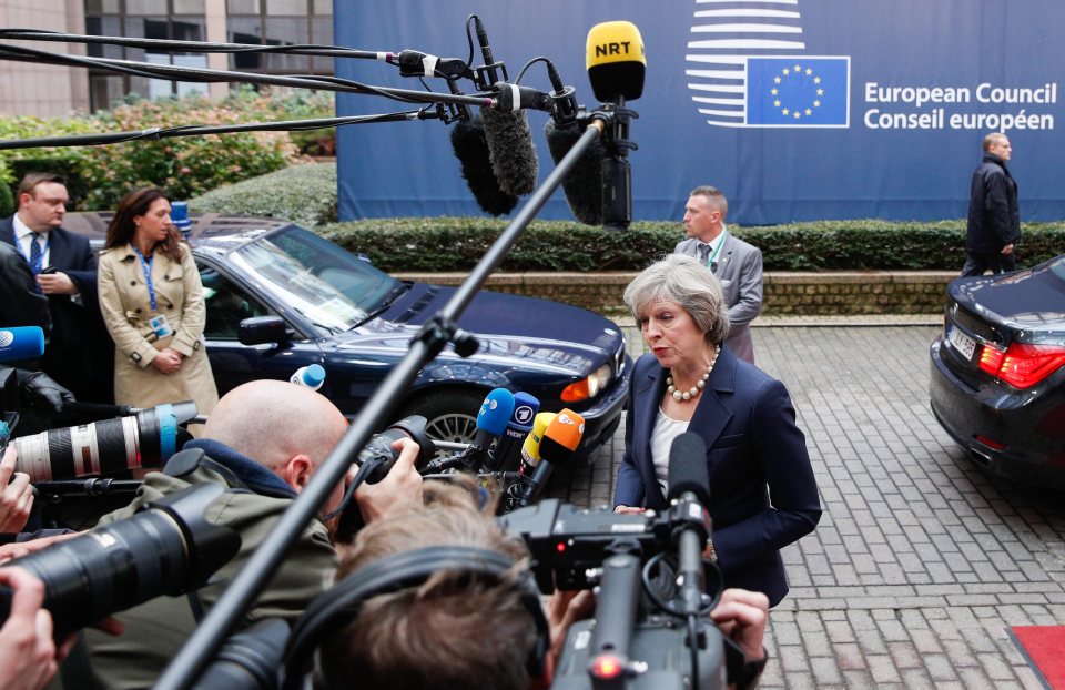 Mrs May and the other leaders will discuss migration, trade and Russia, including its role in Syria, at the summit