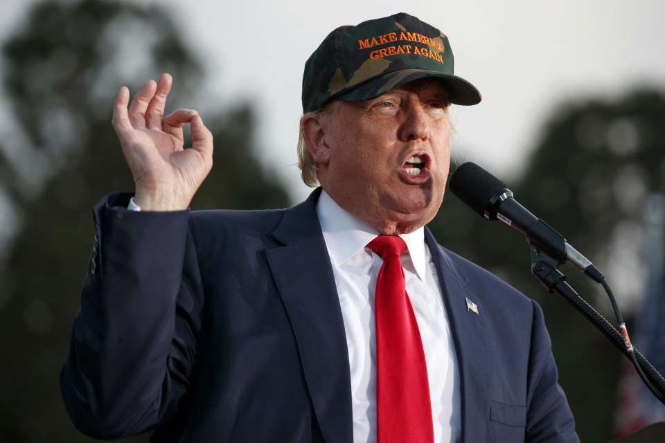 Donald Trump has often questioned his rival's 'stamina' on the campaign trail
