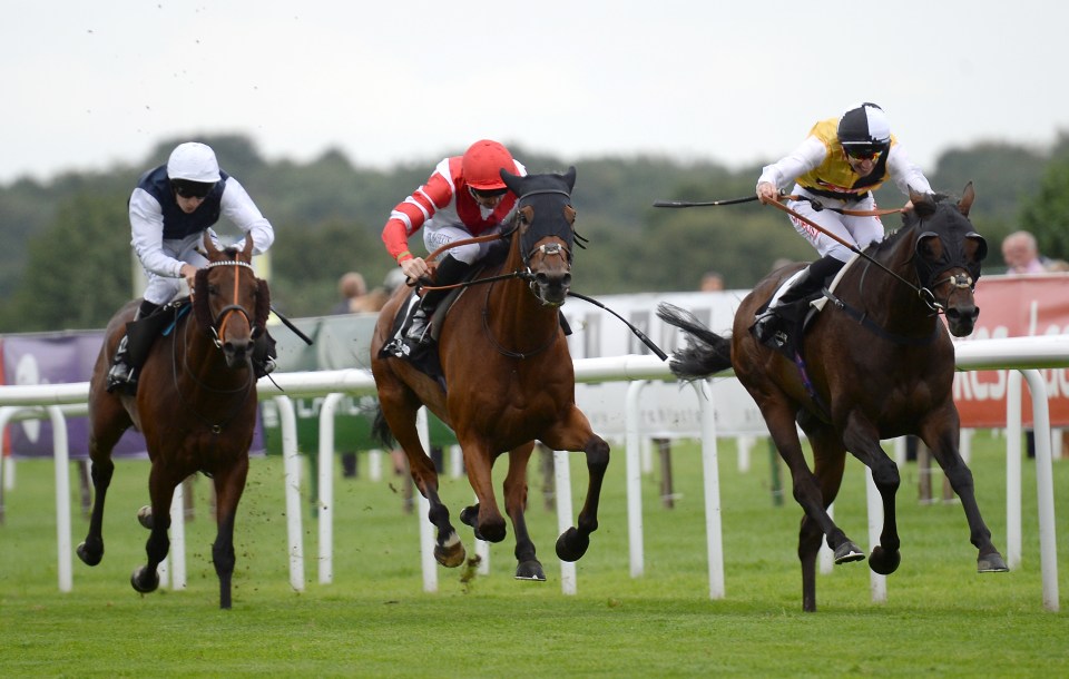 St Michel (left) has been the subject of an early gamble 